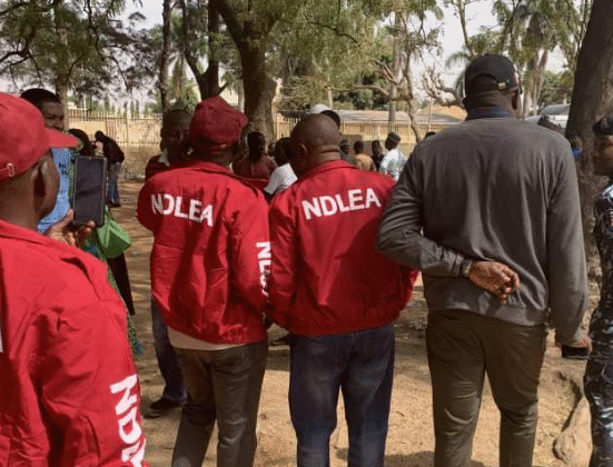 NDLEA officials