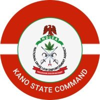 ndlea kano command