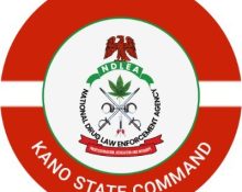 ndlea kano command